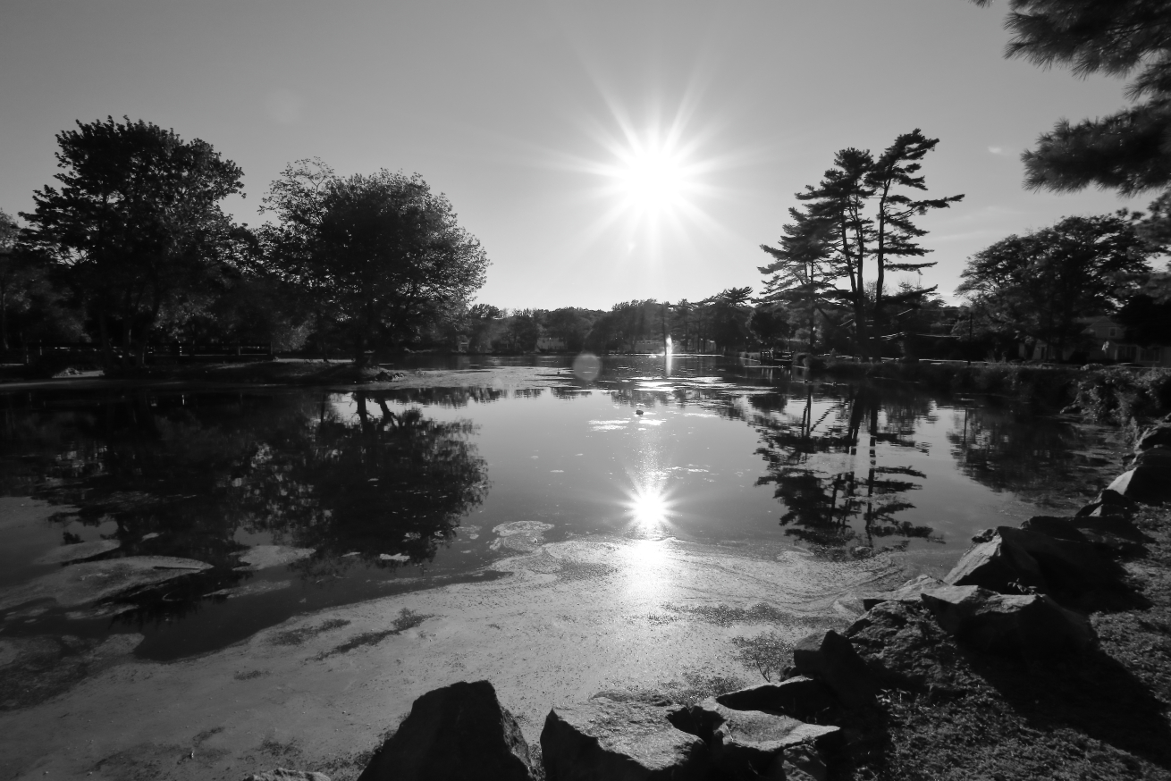 2015 08 23 HTP 00470